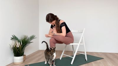 15 Min Chair Yoga 🪑 Full Body Stretch | Beginner & Prenatal friendly, TBI Recovery